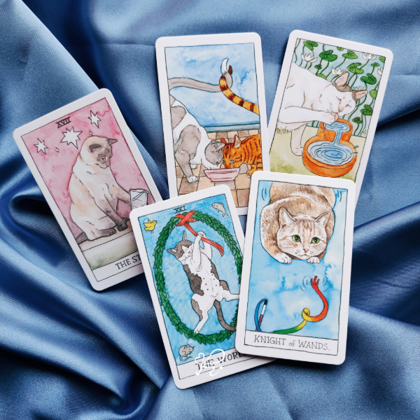 Producto - 5 Preguntas