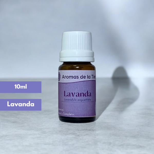Producto - LAVANDA