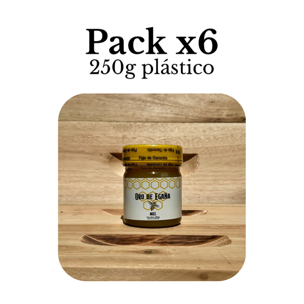 Producto - Miel de pradera x250gr - Pack x6u plástico