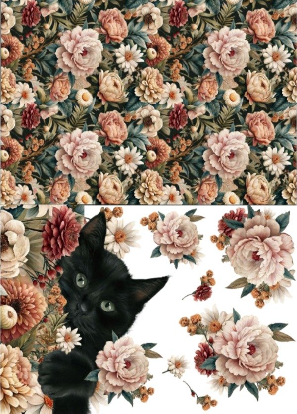 Producto - Lamina de Seda Sublimable CATCUTE4C