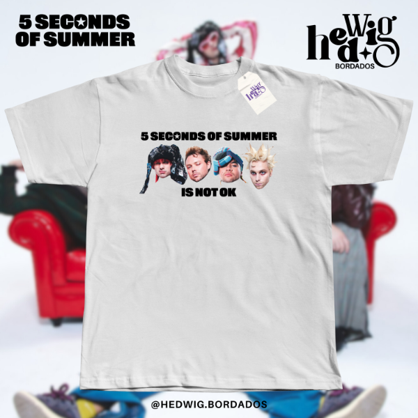 Remera 5SOS is not ok dtf
