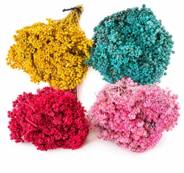 Producto - Ramo Achilea