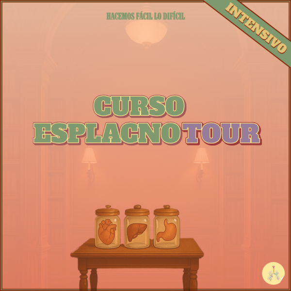 Producto - EsplacnoTOUR (curso intensivo de Esplacno)
