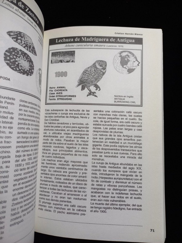 Producto - Biocidio: animales extintos por el hombre - Cristian H. Blanco - 3