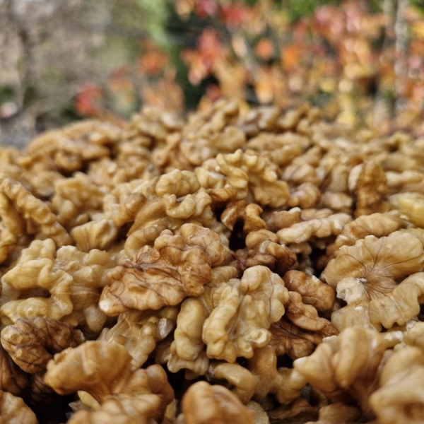 Producto - Nuez de Castilla (Mariposa) - por peso [Coop. Cuchiyaco]