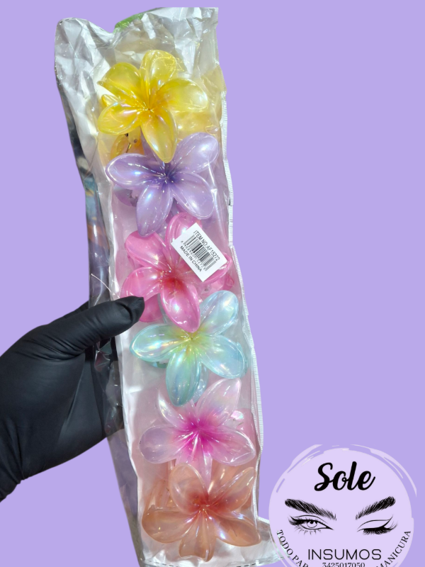 Producto - BROCHE PARA EL CABELLO X UNIDAD