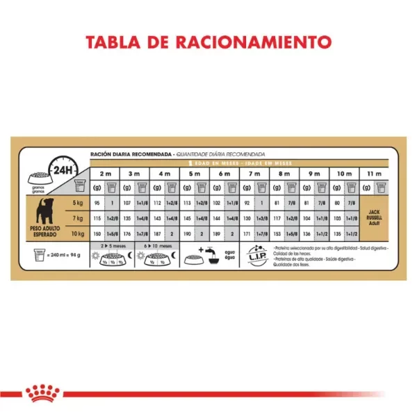 Producto - Alimento Royal Canin Perro Cachorro Jack Russell - 3Kg - 5