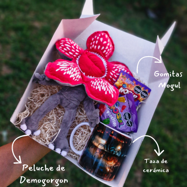 Producto - Box Stranger Things