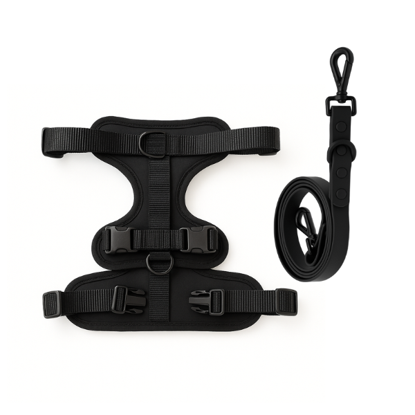 Producto - ARNÉS + CORREA PUPO