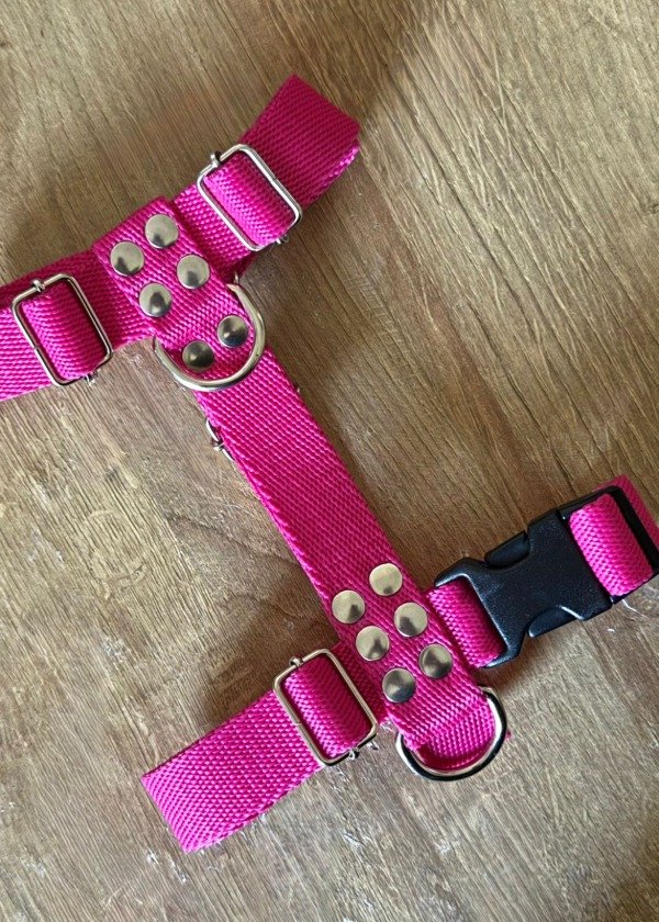 Producto - Pretal H PINK