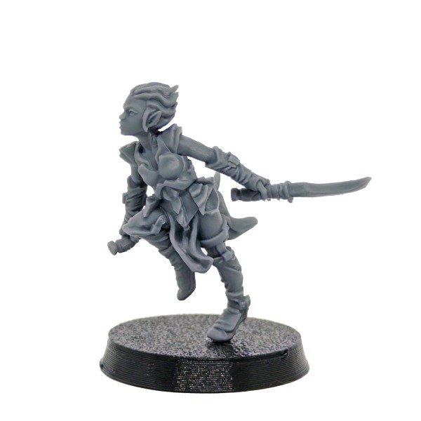 Producto - #289 D - Elvanna, Drow Pícara