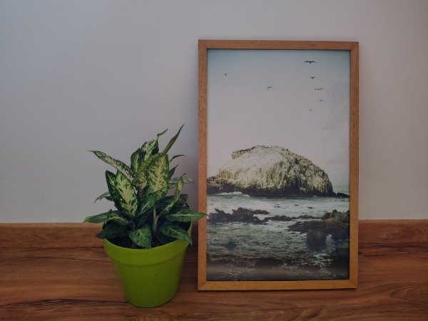 Producto - Piedra de los pájaros