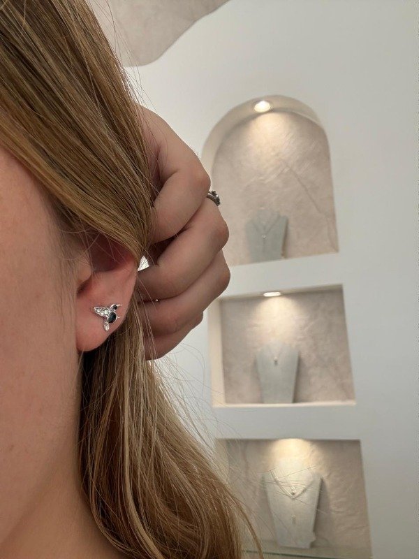 Producto - Aros Colibri - 2