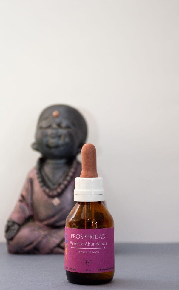 Producto - PROSPERIDAD - Atraer abundancia -