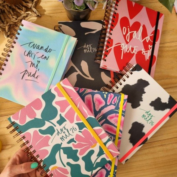 Producto - Pack x6
