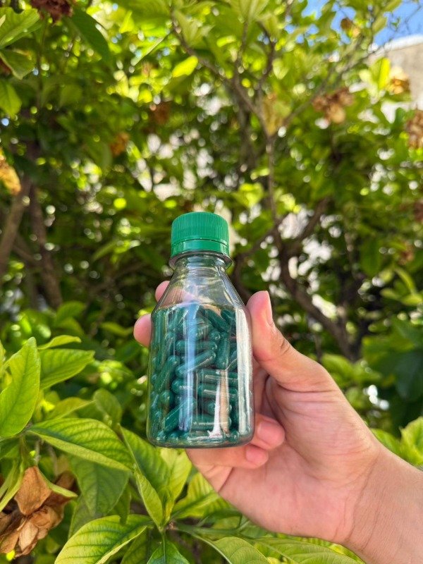 Producto - Cápsulas de moringa, cúrcuma, pimienta negra y CBN