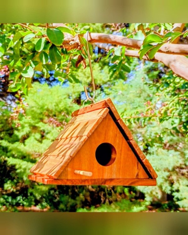 Producto - Casa de pájaros para colgar Alpina