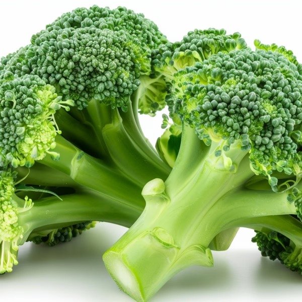 Producto - BROCOLI CONGELADO IQF