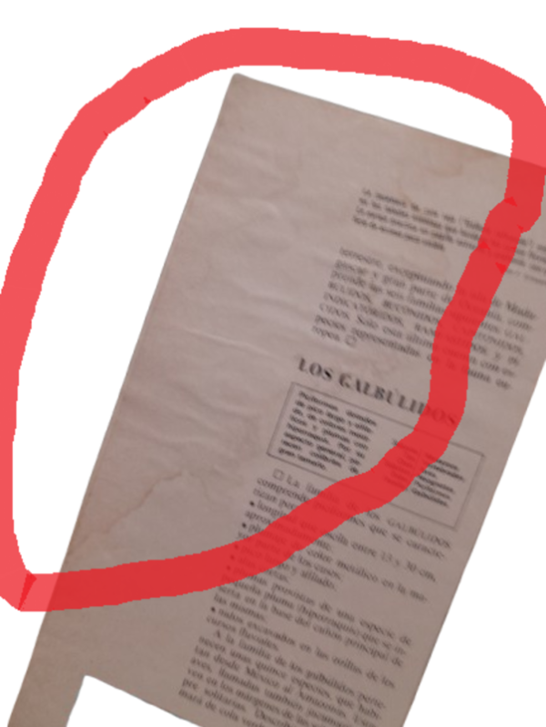 Miniatura de producto - 8