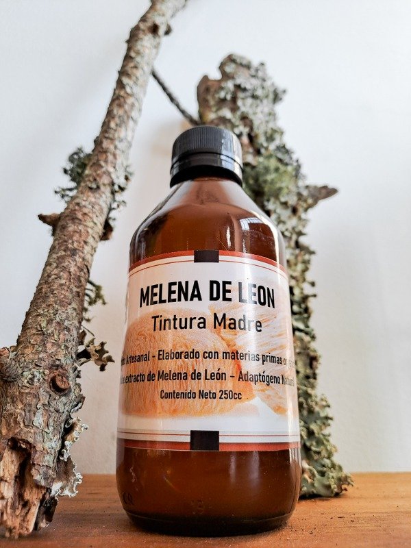 Producto - TINTURA MADRE MELENA DE LEON 250ml DOBLE EXTRACCION. REGENERACION CEREBRAL