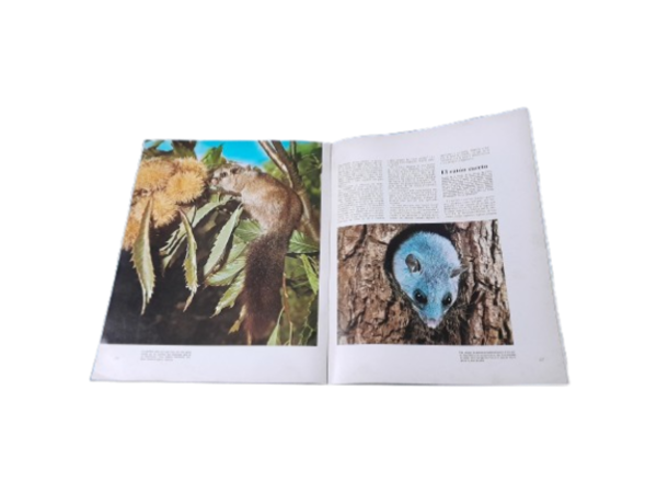 Miniatura de producto - 5