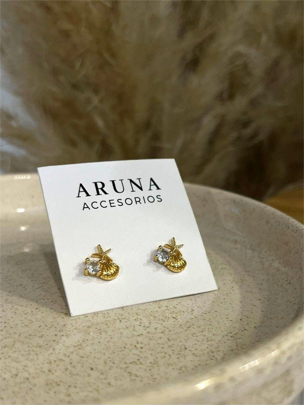 Producto - Aros Ariel