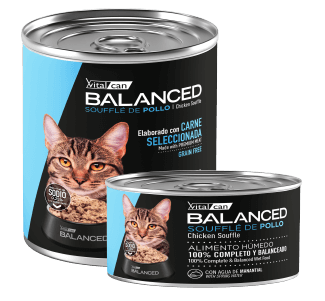 Producto - Vital Can Balanced  Soufle Gato Pollo 340gr.