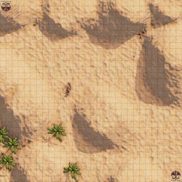 Producto - Desierto 1 XL