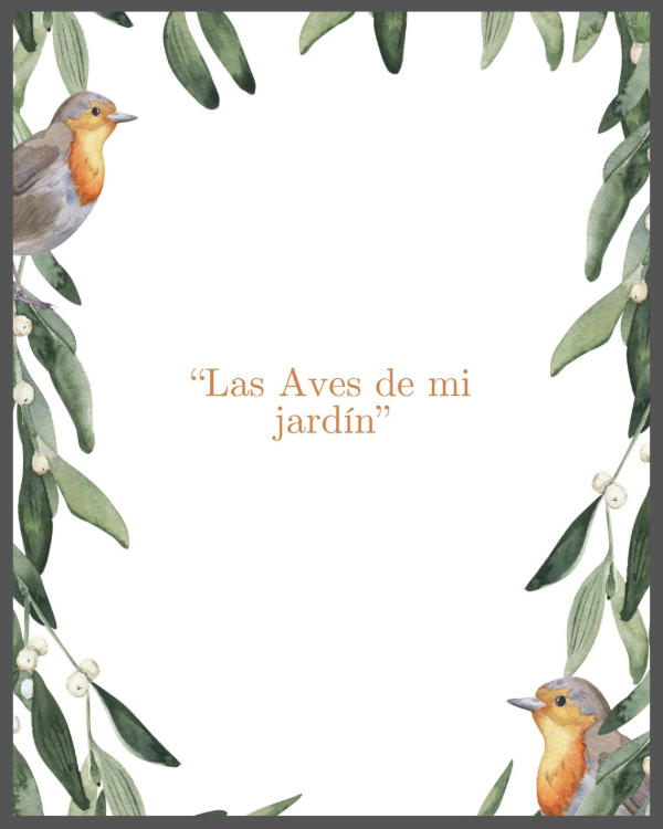 Producto - Las aves de mi jardín