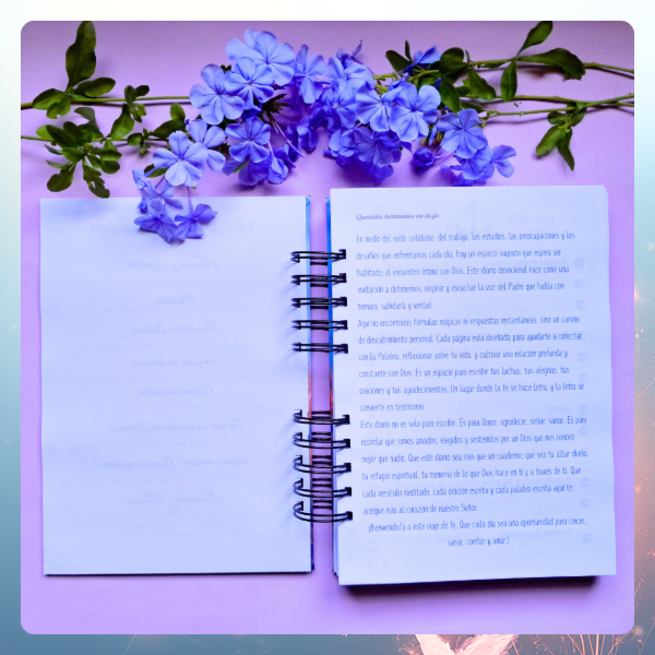 Producto - Diario Devocional - 4