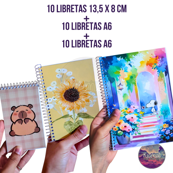 Producto - Combo revendedor 2 (leer descripción)