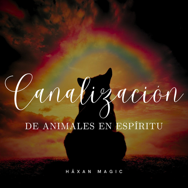 Producto - Canalización: Animales en Espíritu
