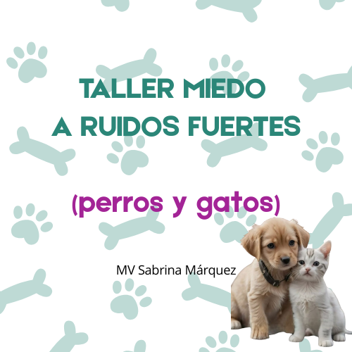 Producto - TALLER MIEDO A RUIDOS FUERTES (Perros y Gatos)