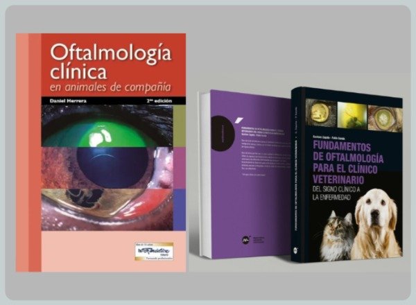 Producto - Oftalmología Clínica NAC + Fundamentos de Oftalmología