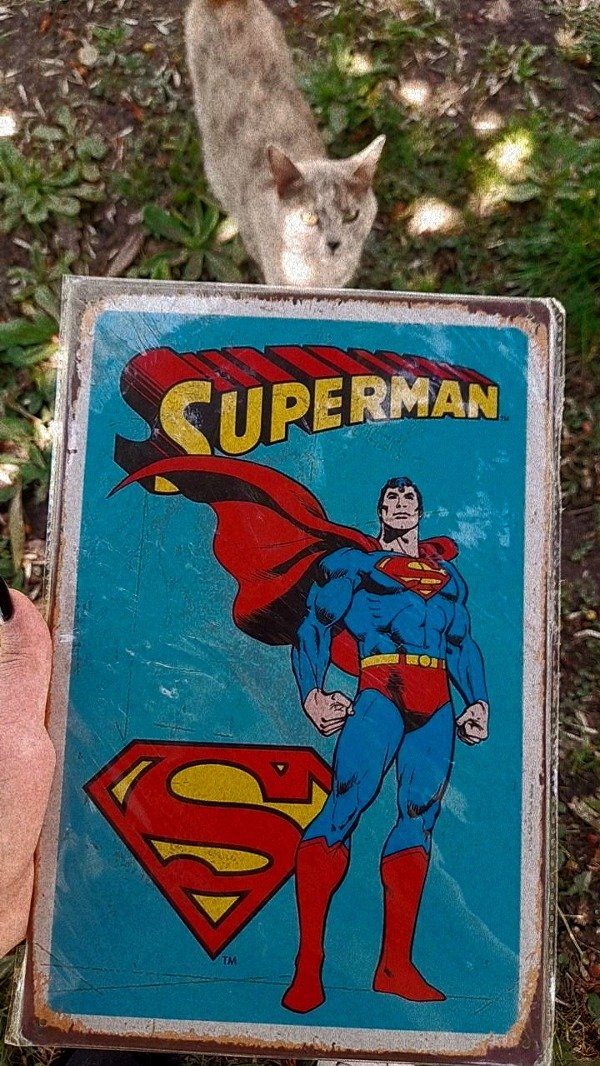 Producto - CHAPA SUPERMAN