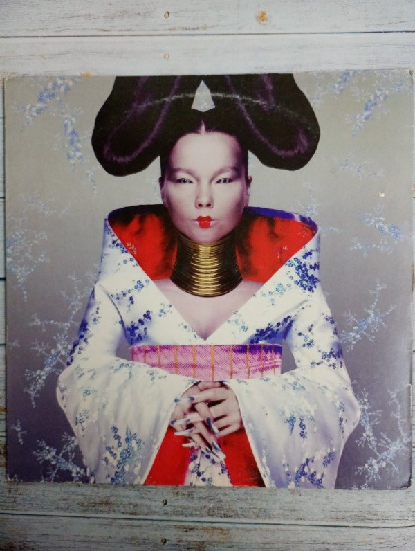 Producto - Bjork Homogenic