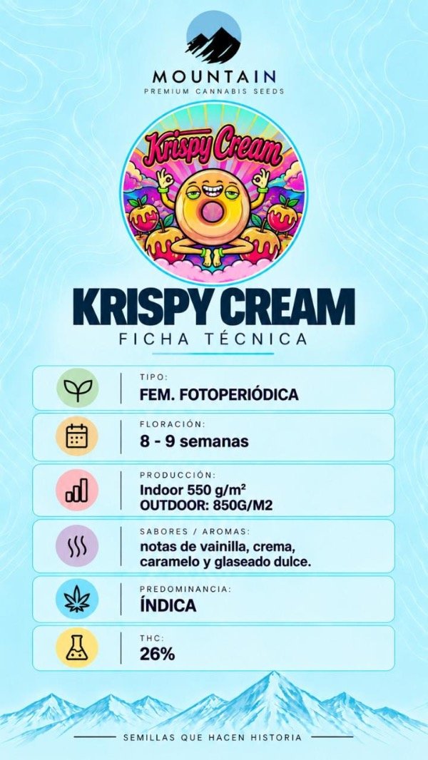 Producto - KRISPY CREAM (3 unidades) - 1