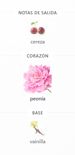Producto - Nude Bouquet - Zara - 1