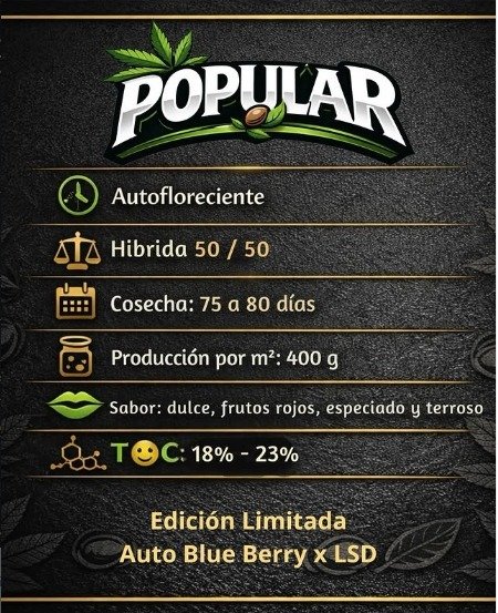 Producto - Popular 3 + 1 Auto - Elefante Blanco Seeds