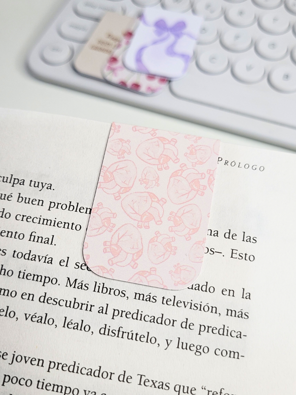 Producto - SEÑALADOR MAGNETICO #45