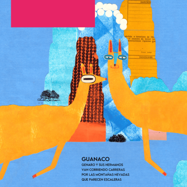 Producto - ABECEDARIO DE AVENTURAS ANIMALES - CECILIA CODONI - EDITORIAL PUPEK - 2