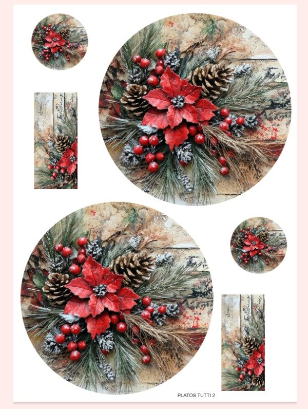 Producto - Platostutti