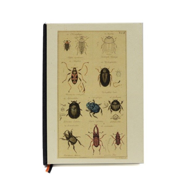 Producto - Escarabajo en negro