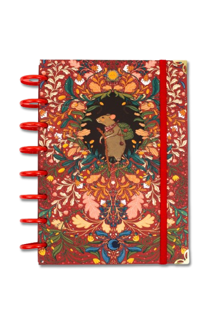 Producto - Cuaderno Sistema de discos "BUEN VIAJE"