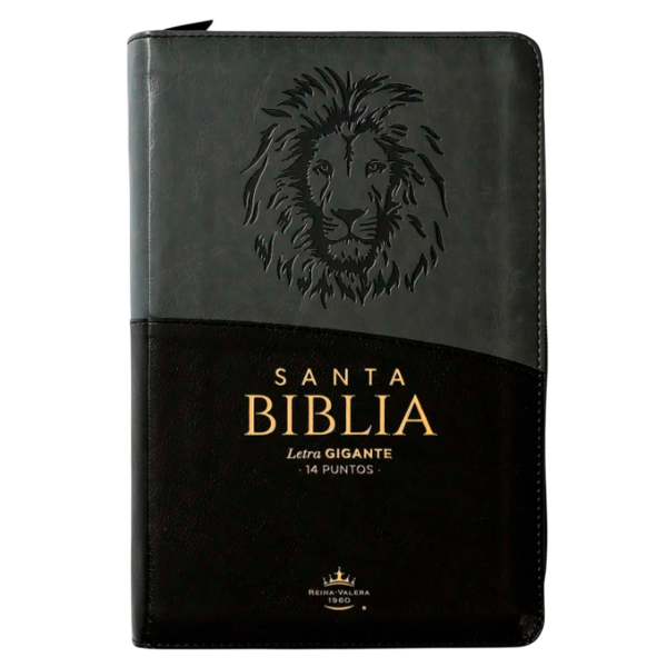 Producto - Biblia Reina Valera 1960 Letra Gigante DuoTono Negro Y Gris