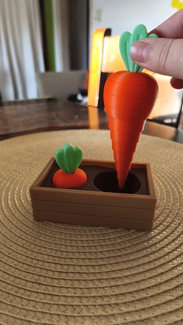 Producto - Huerto con 2 zanahorias telescopio - 1