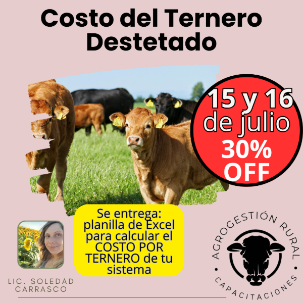Producto - Taller Online: Costo del Ternero