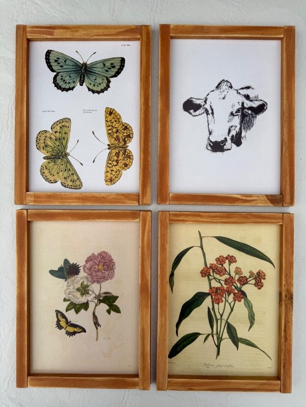 Producto - Cuadritos de ilustraciones vintage - 3