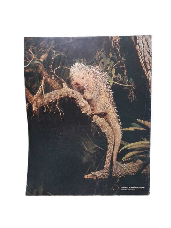 Miniatura de producto - 7