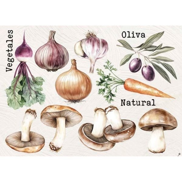 Producto - Cocina 170